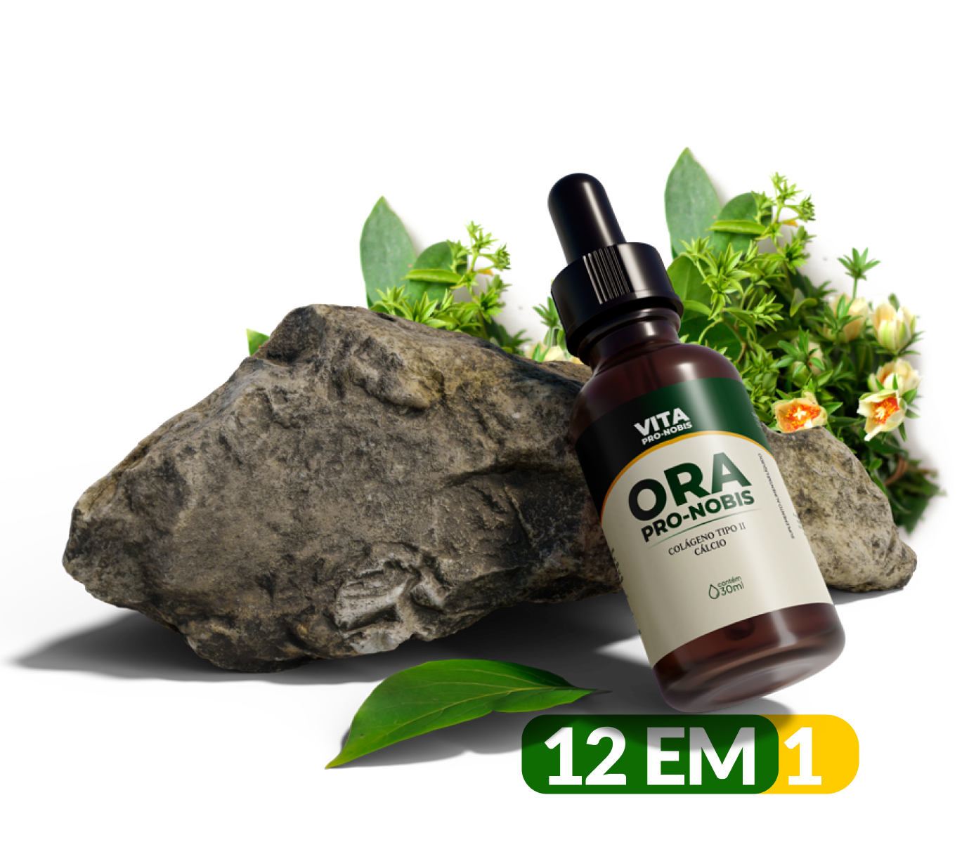 ora-pro-nobis